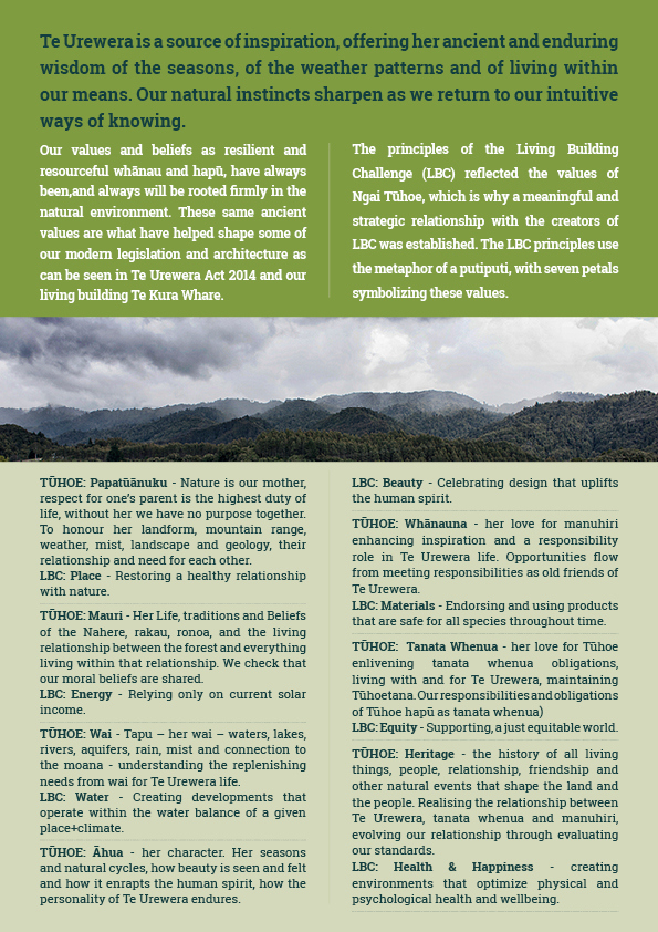 Bog Stories Sept 17 - TU LBC Bog Stories Sept 17 - TU LBC